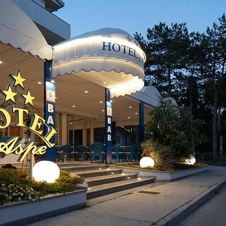 Hotel Aspe-3